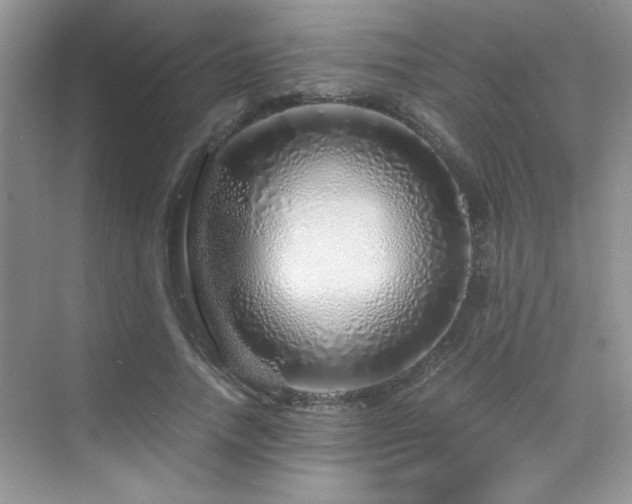 X0000076070738200609221156