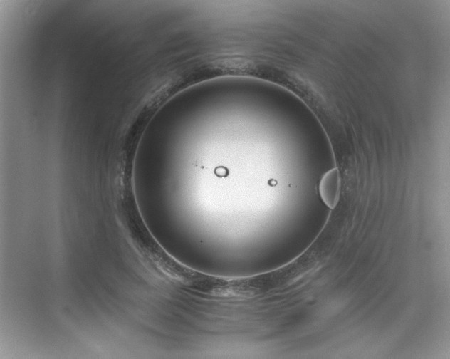 X0000076070739200609221156