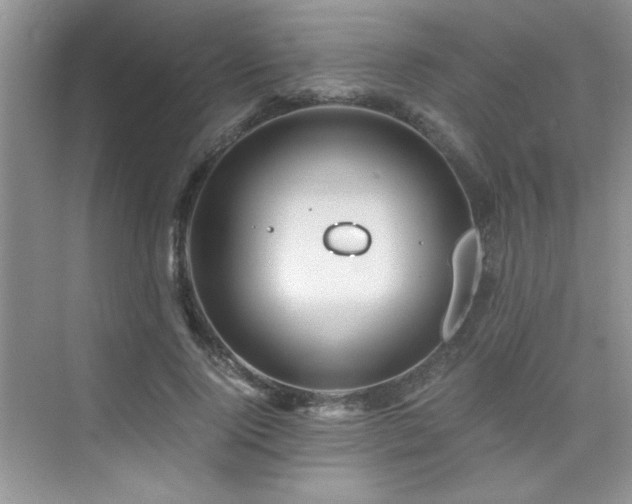 X0000076070740200609221156