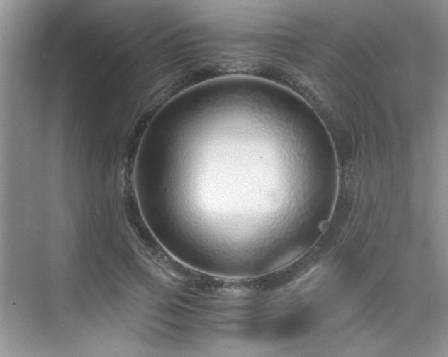 X0000076070741200609221156