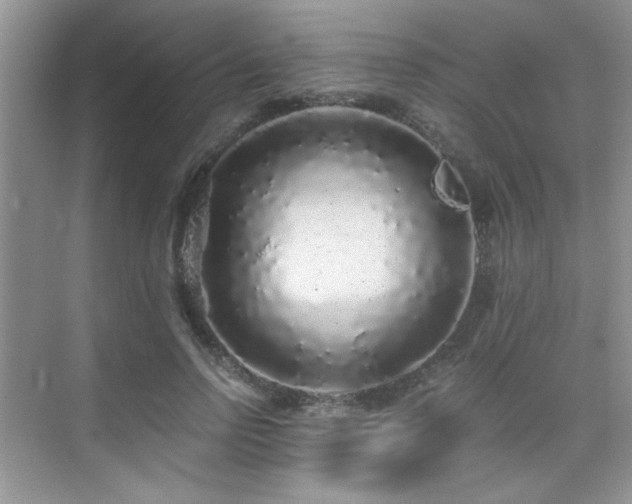 X0000076070742200609221156