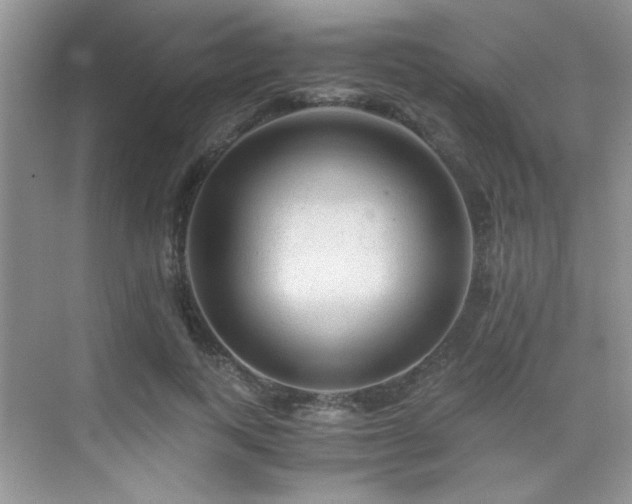 X0000076070743200609221156