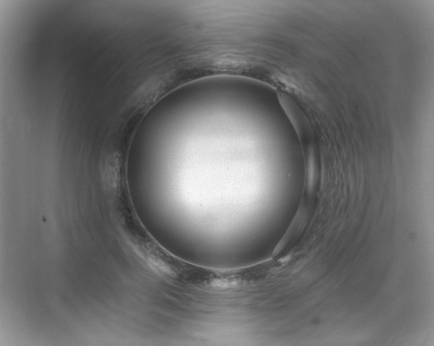 X0000076070744200609221156