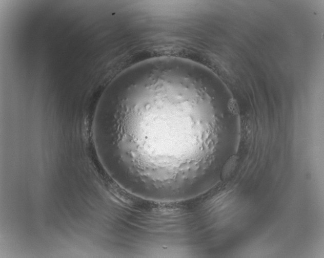 X0000076070745200609221156