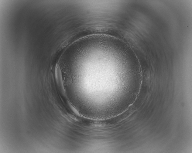 X0000076070746200609221156