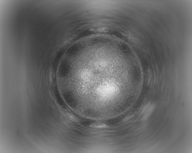 X0000076070747200609221156