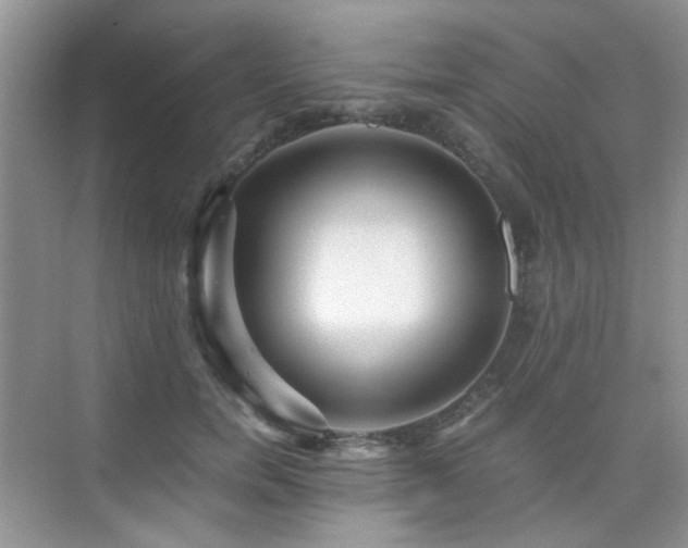 X0000076070750200609221156