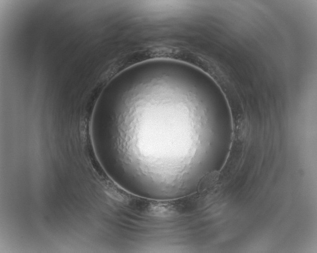 X0000076070753200609221156