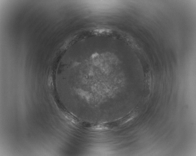 X0000076070754200609221156