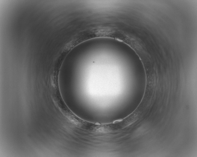 X0000076070755200609221156