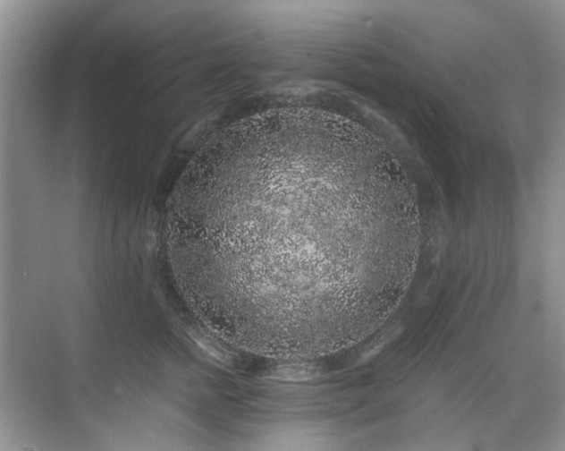 X0000076070758200609221156