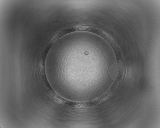 X0000076070761200609221156