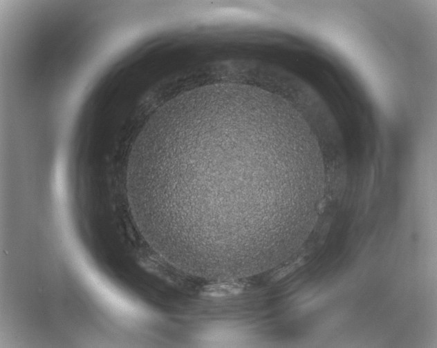 X0000076070765200609221156