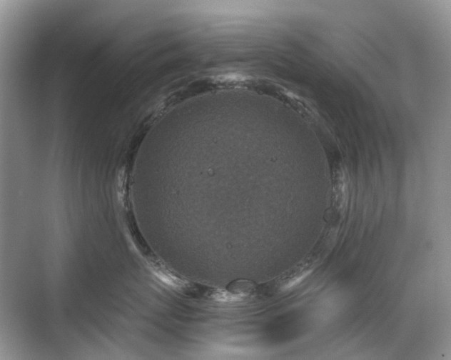 X0000076070767200609221156