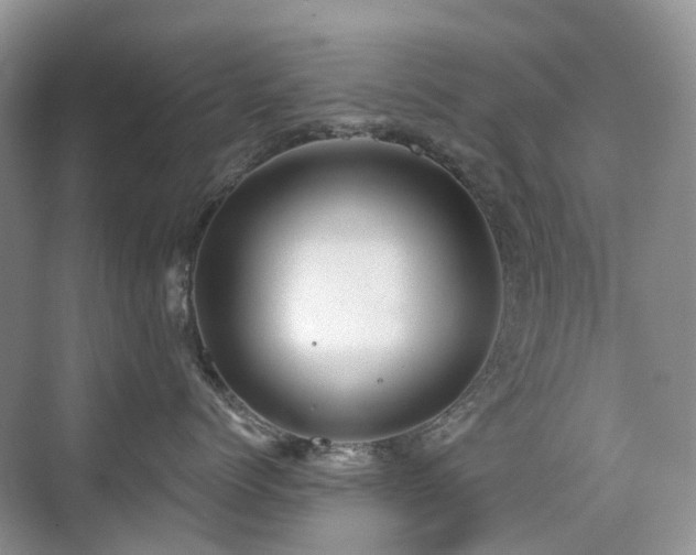 X0000076070768200609221156