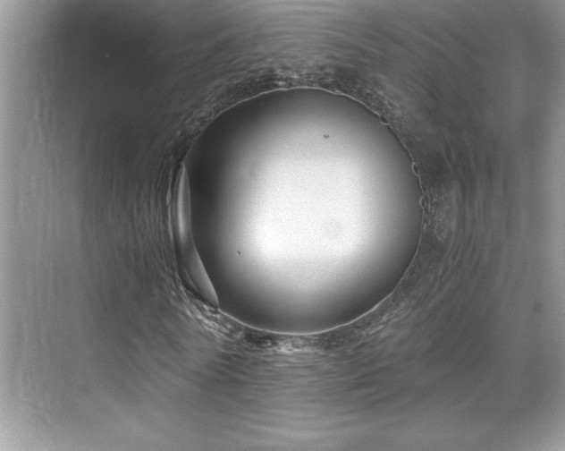 X0000076070770200609221155