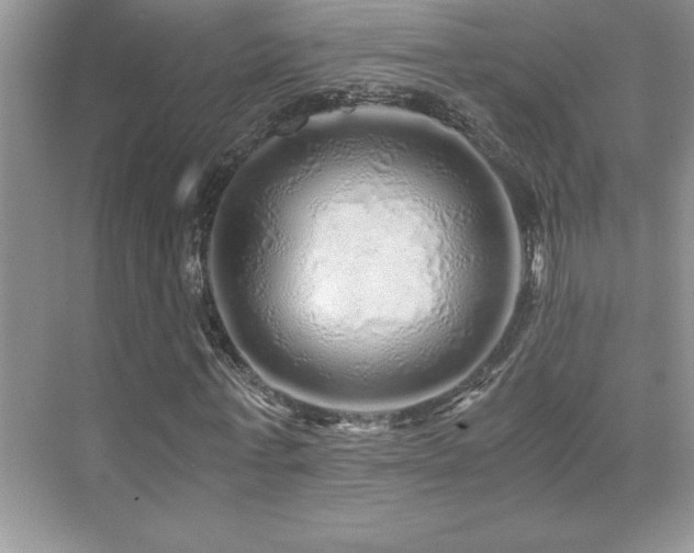 X0000076070771200609221155