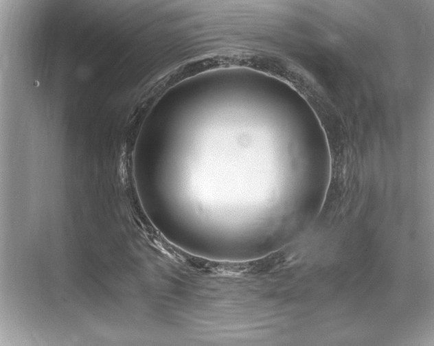 X0000076070773200609221155