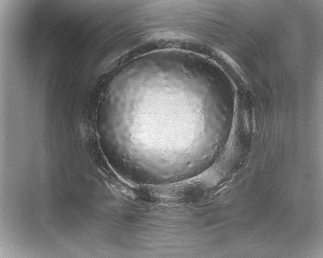 X0000076070775200609221155