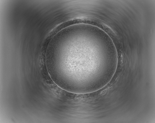 X0000076070776200609221155