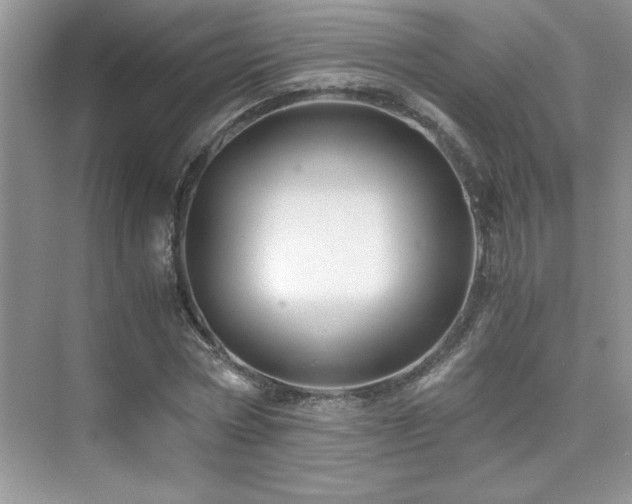 X0000076070778200609221155