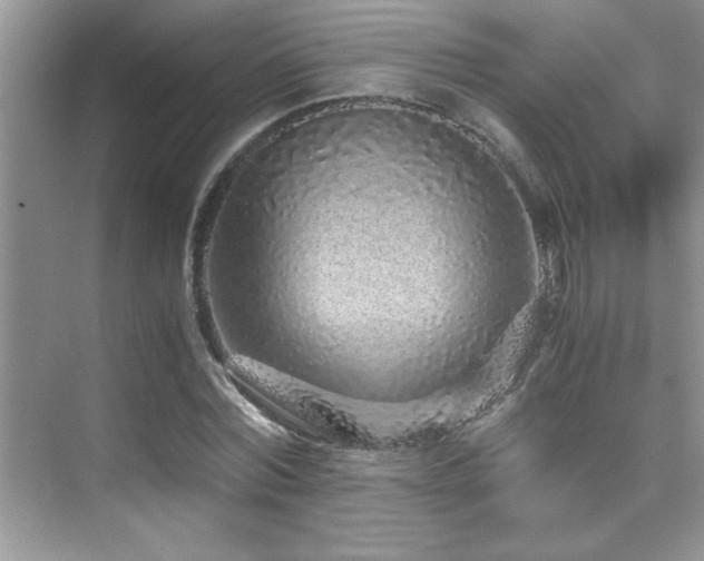 X0000076070780200609221155