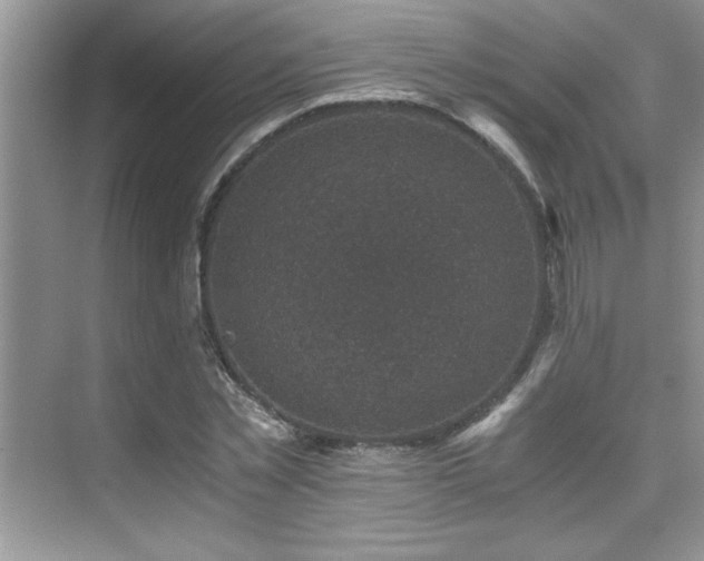 X0000076070781200609221155