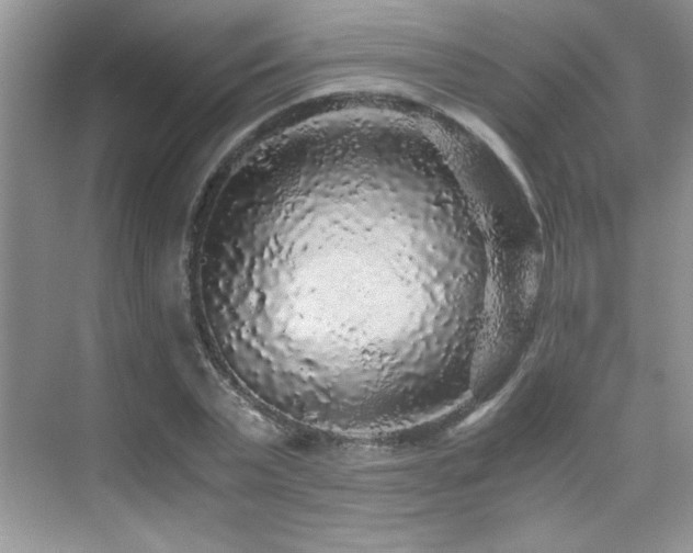 X0000076070783200609221155