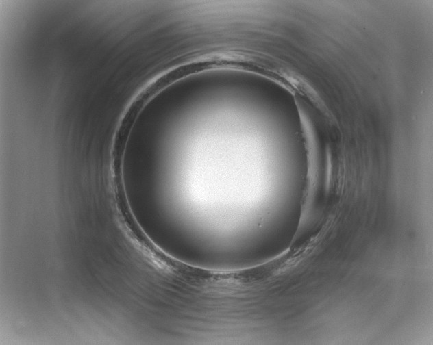 X0000076070784200609221155