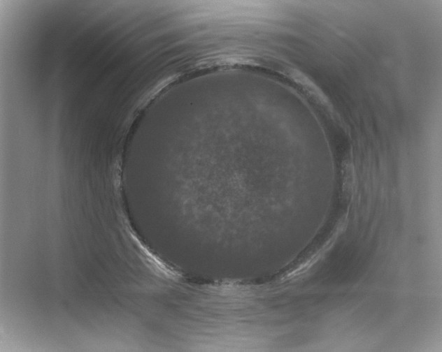 X0000076070785200609221155