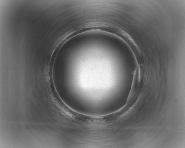 X0000076070786200609221155