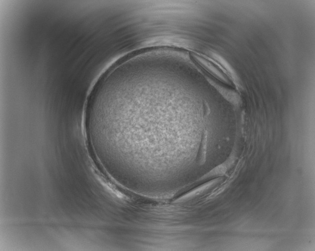 X0000076070788200609221155