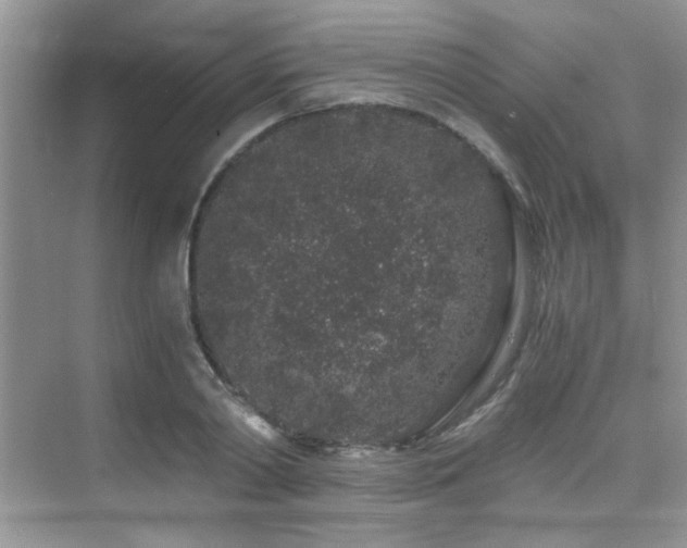 X0000076070790200609221155