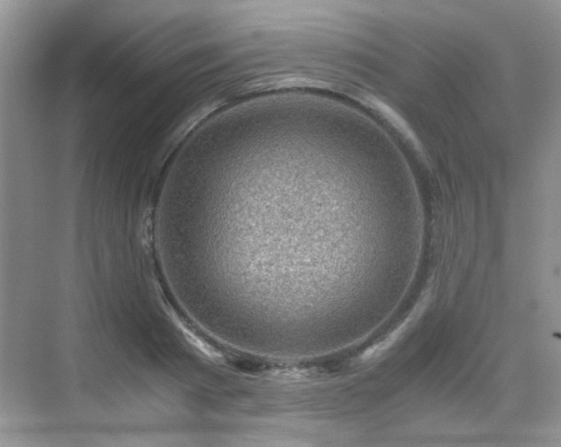 X0000076070793200609221155