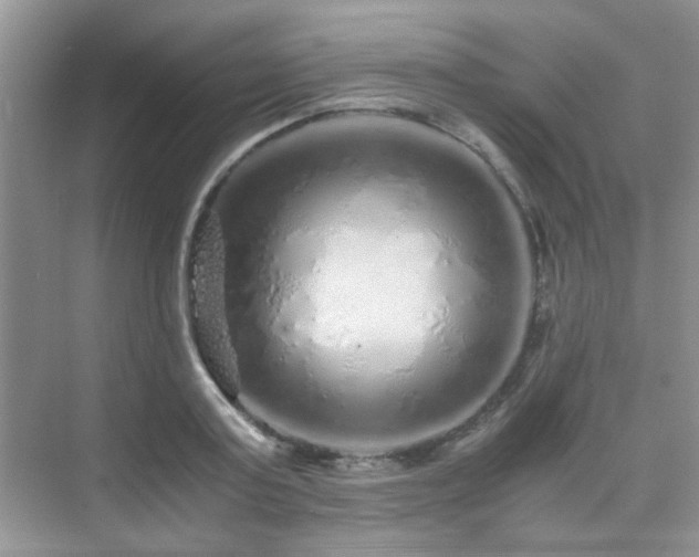 X0000076070795200609221155