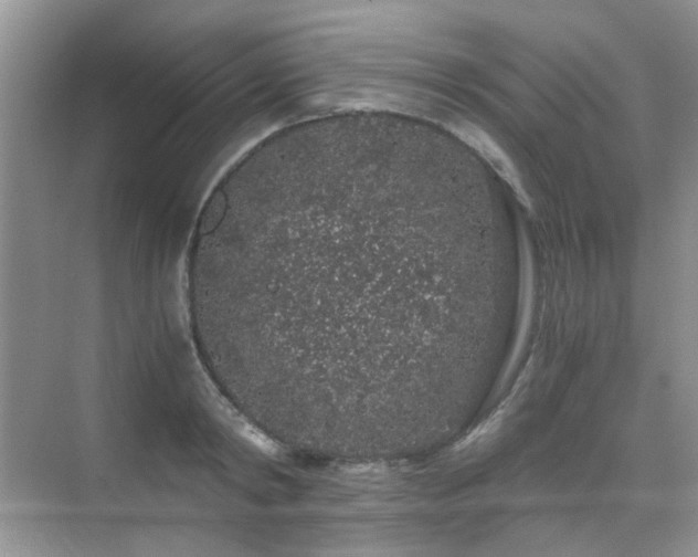 X0000076070798200609221155