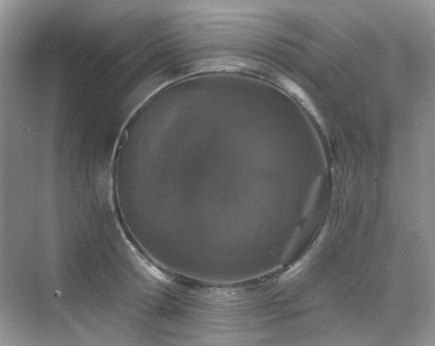 X0000076070802200609221155