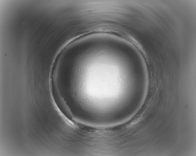 X0000076070803200609221155