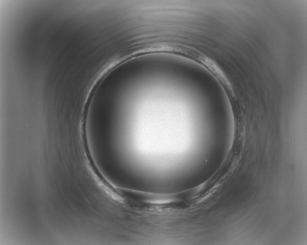 X0000076070805200609221155