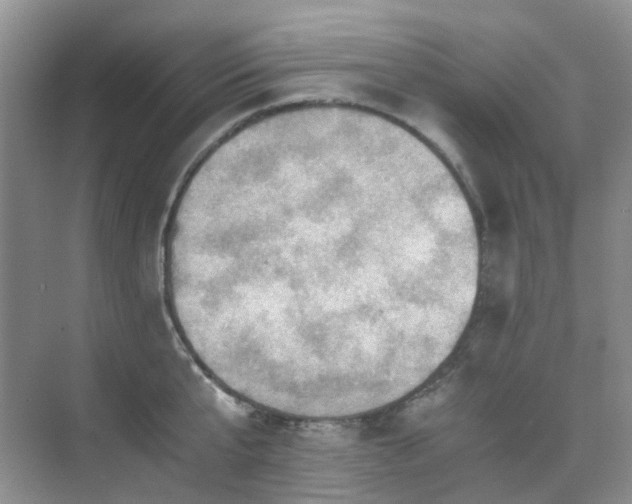 X0000076070807200609221155