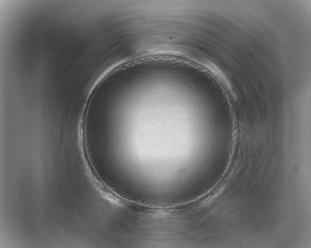 X0000076070814200609221155