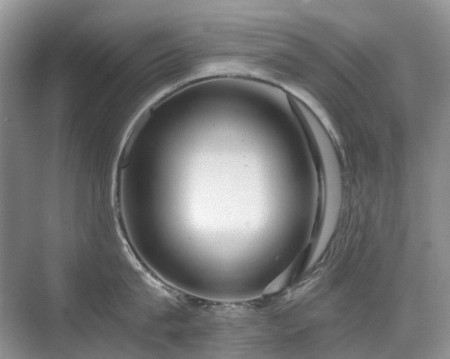 X0000076070815200609221155