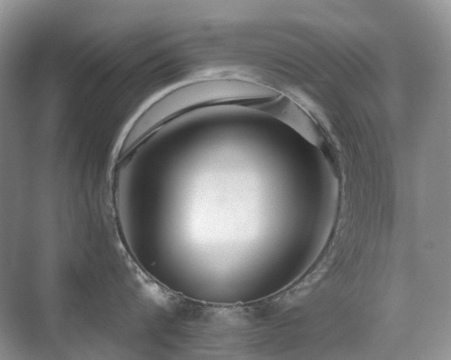 X0000076070816200609221155