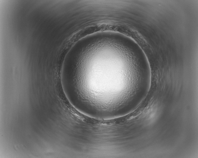 X0000076070821200609221154