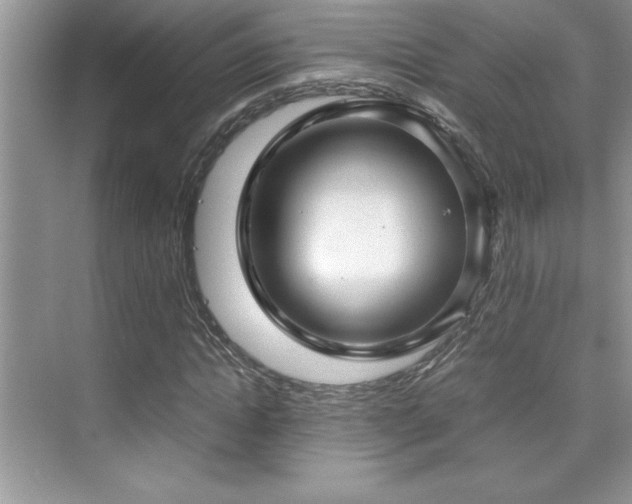 X0000076070822200609221154