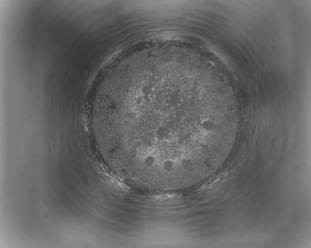 X0000076070823200609221154