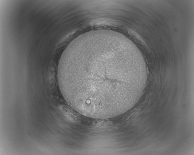 X0000076070824200609221154