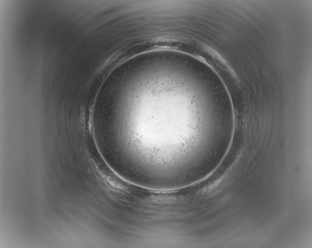 X0000076070825200609221154