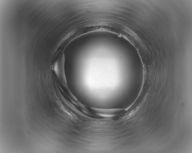 X0000076070826200609221154