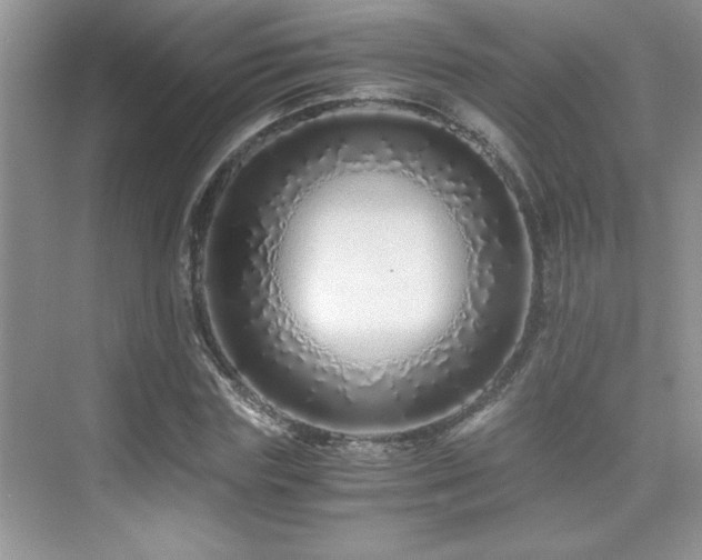 X0000076070827200609221154